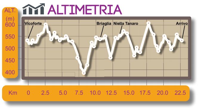 Altimetria