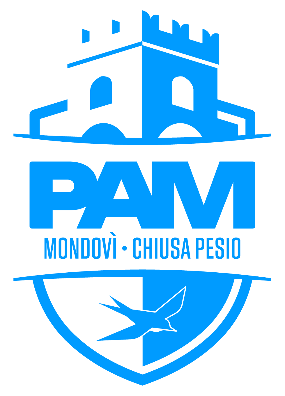 2305_PAM_02_Logo_R0G155B255